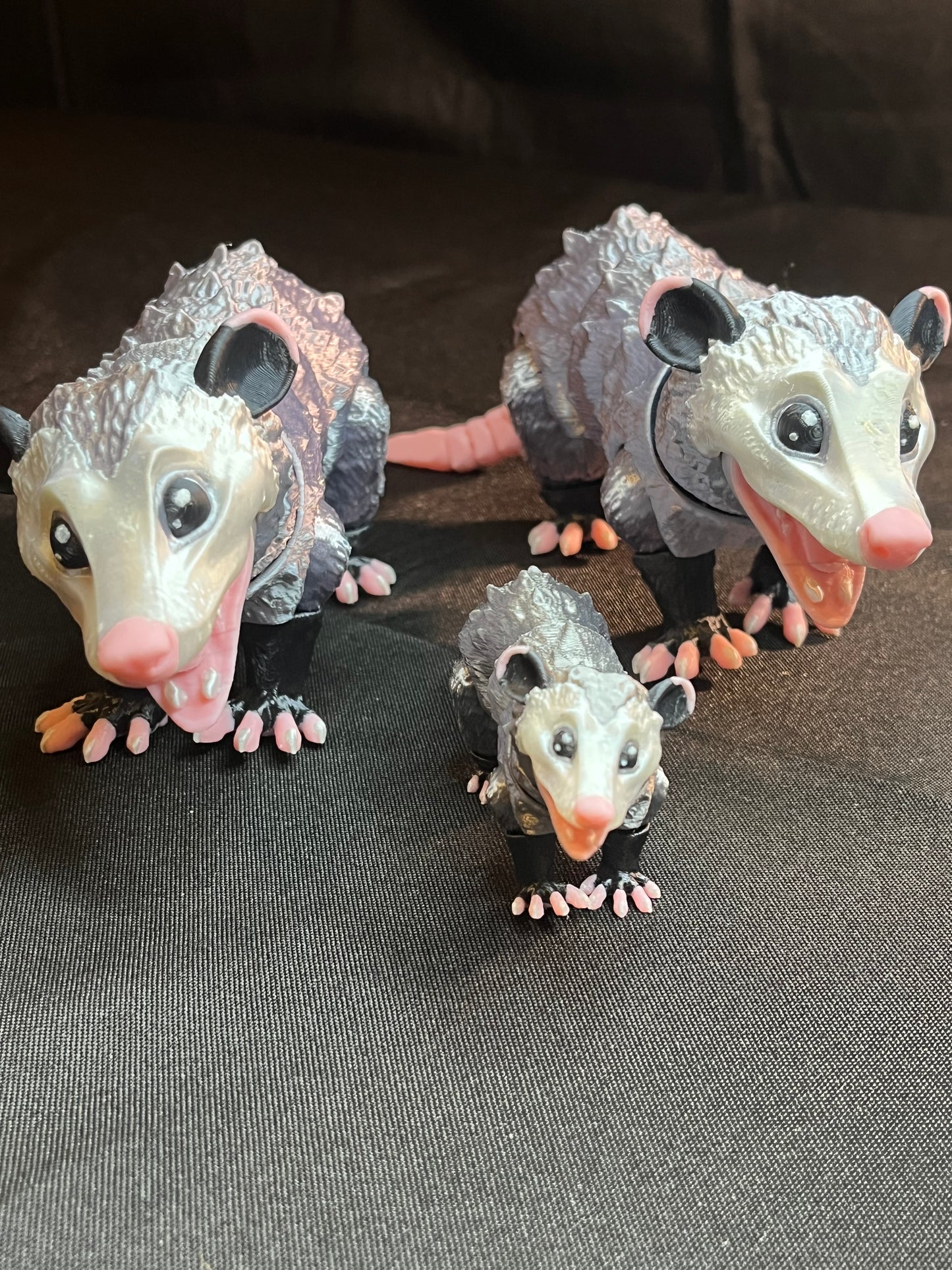 Opossum (Multi-Color)